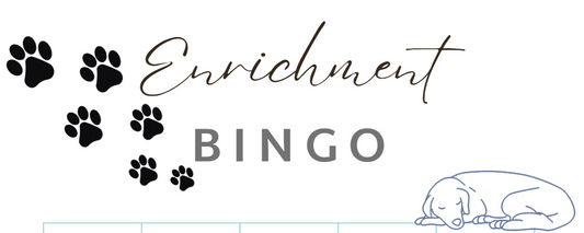 Dog Enrichment BINGO: A Fun Way to Keep Your Dog Engaged!