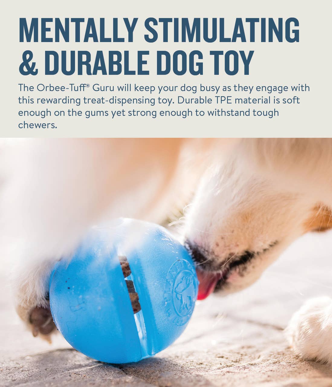 Planet Dog Orbee-Tuff Guru Treat-Dispensing Puzzle Dog Toy