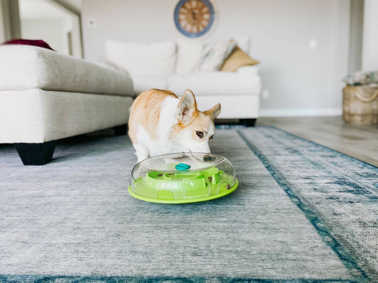 Nina Ottosson Wobble Slow Feeder Bowl Dog Game Blue/Green