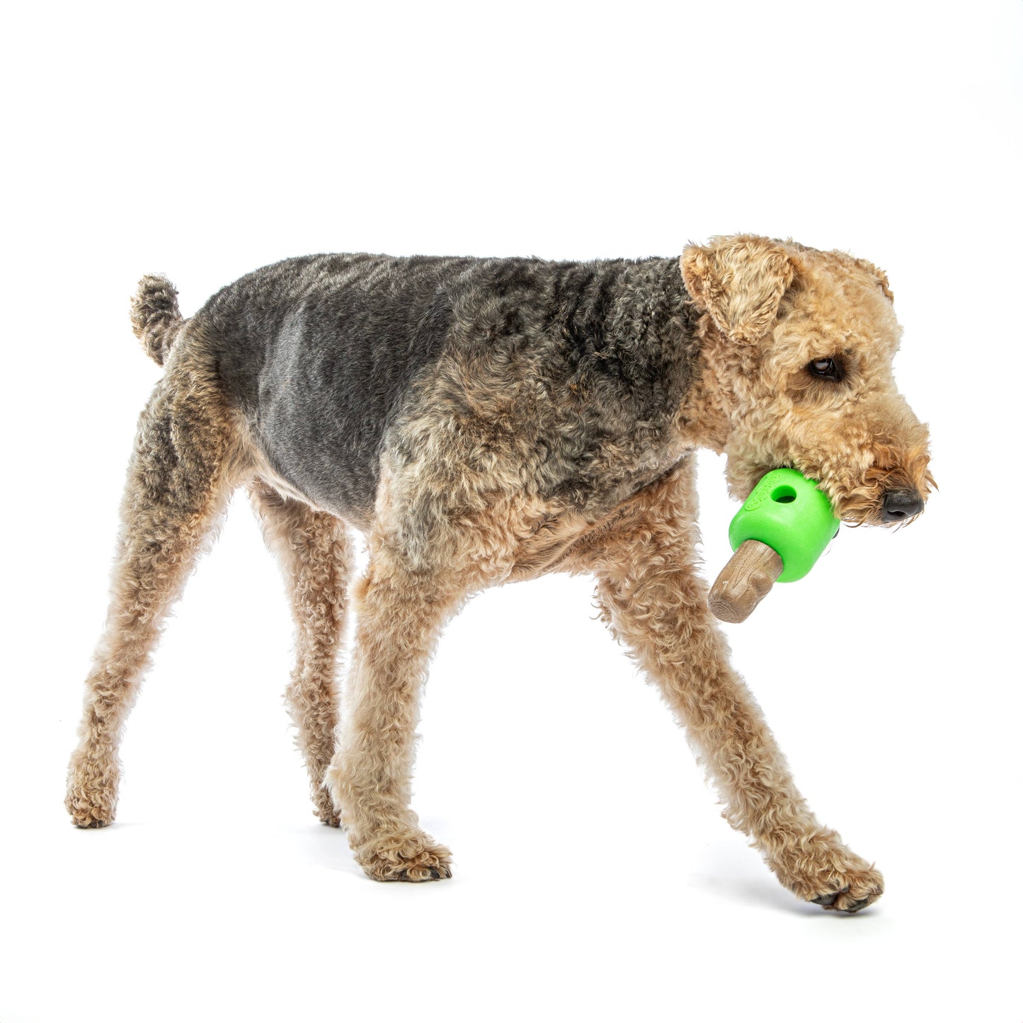 GURU Pet Company Spin & Treat Stick Interactive Dog Toy MED