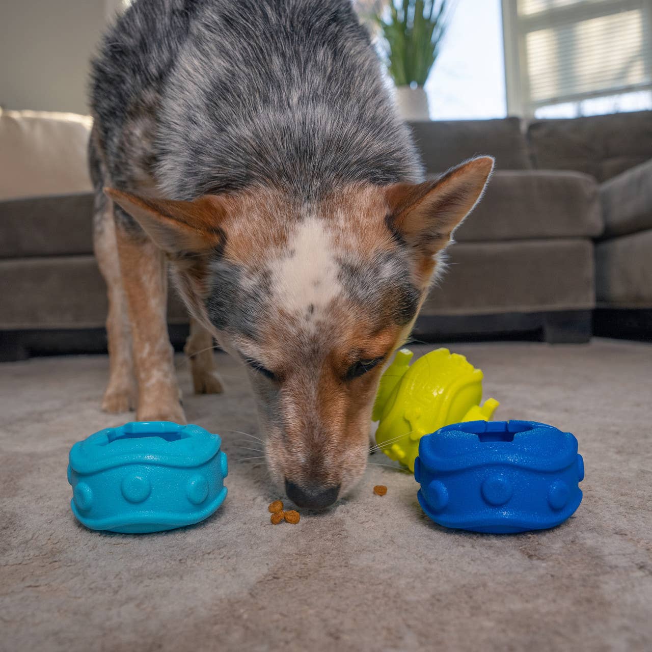 Outward Hound Treat Locking Discs Dog Treat Dispenser Toy