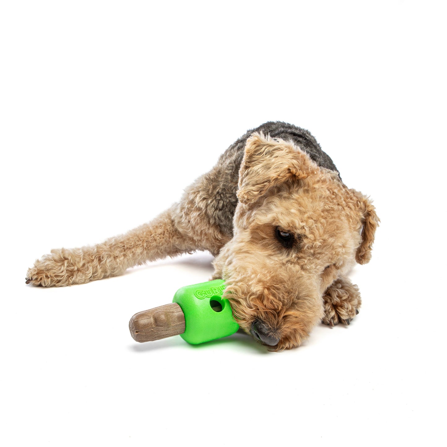 GURU Pet Company Spin & Treat Stick Interactive Dog Toy MED